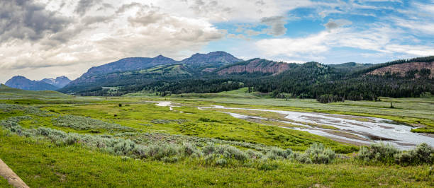 istock Soda Butte Creek in Yellowstone 1216945983