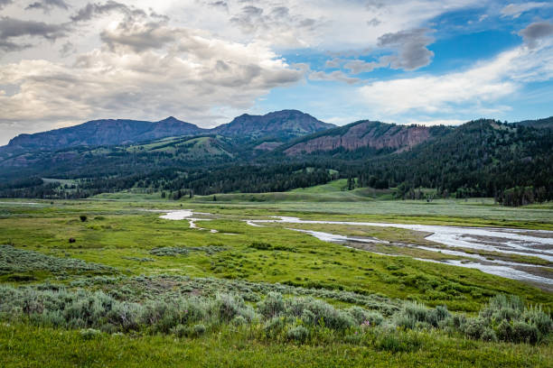 istock Soda Butte Creek in Yellowstone 1216945984