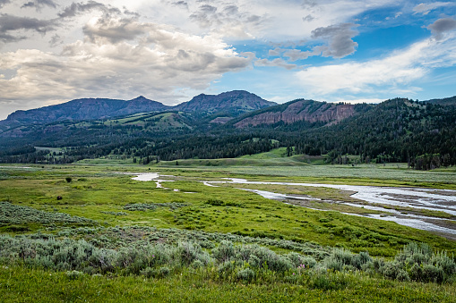 Soda Butte Creek is a major tributary of the Lamar River at Yellowstone National Park.