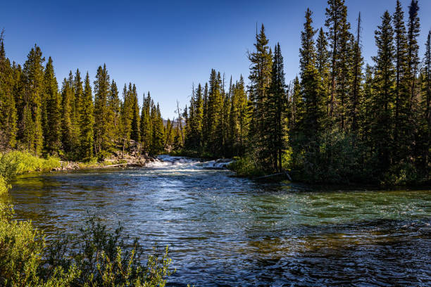 istock Broadwater River Cooke City 1216948080