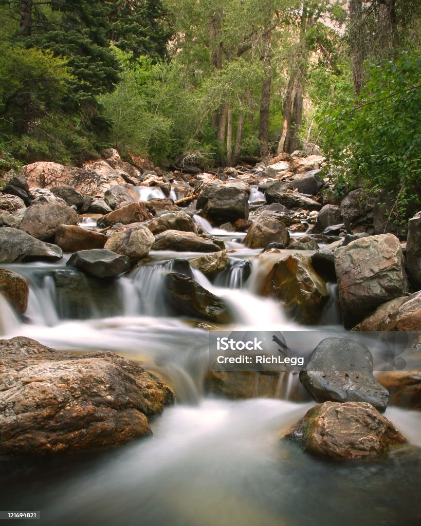 Qui coule le ruisseau-Vertical - Photo de Utah libre de droits