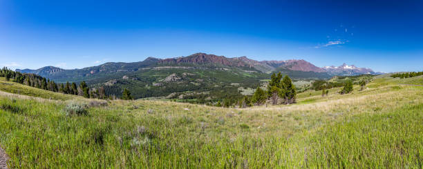 istock Beartooth Highway Wyoming and Montana 1216948545