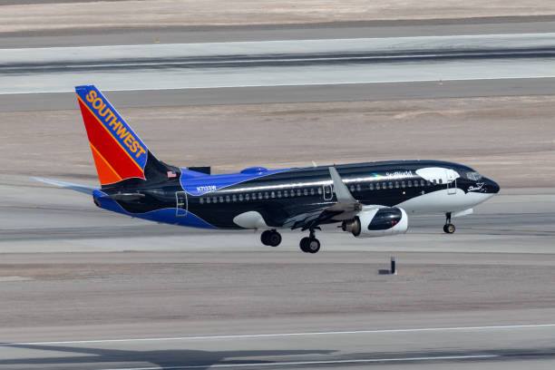 Southwest Airlines Boeing 737 aircraft painted in a special SeaWorld Shamu the whale livery on approach to land. Las Vegas, Nevada, USA - May 6, 2013: Southwest Airlines Boeing 737 aircraft painted in a special SeaWorld Shamu the whale livery on approach to land. named animal stock pictures, royalty-free photos & images