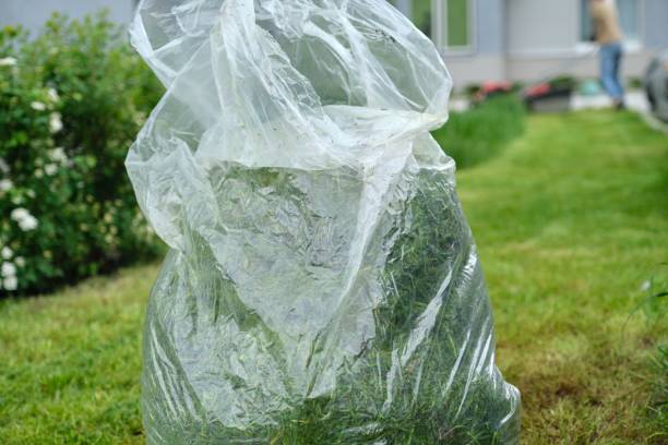 istock Freshly cut lawn grass in a package 1216949673