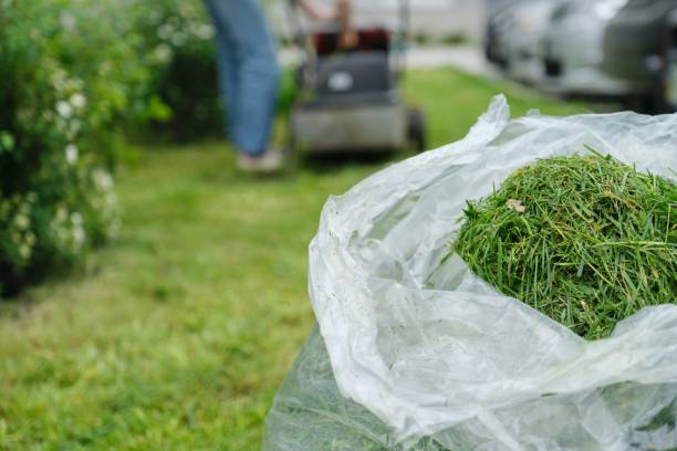 istock Freshly cut grass in package, background working lawn mower 1216949793
