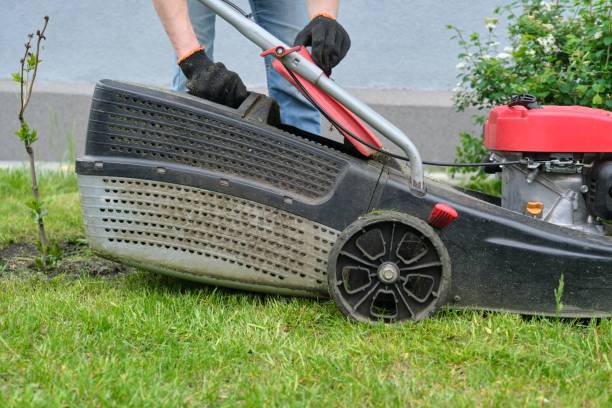 istock Working lawn mower on green lawn with trimmed grass 1216949823