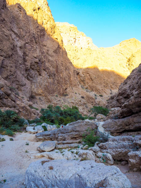 istock Palm Grove in Wadi Shab, Oman 1216950500