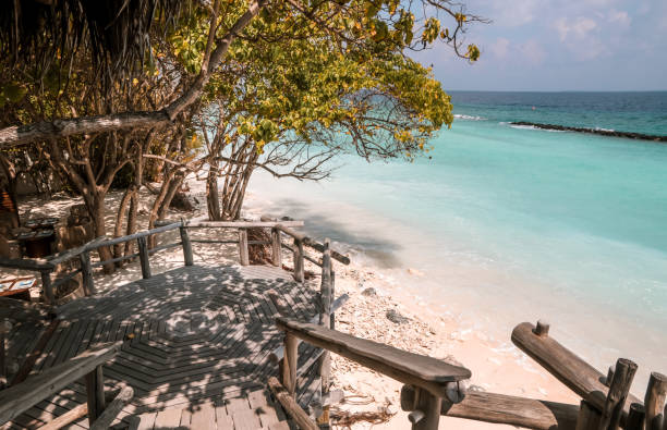 istock Tropical driftwood Restaurant by the beach 1216950559