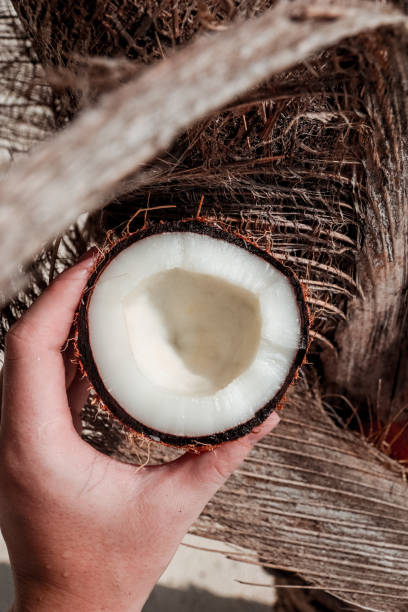 istock Hand holding coconut at the beach 1216950576