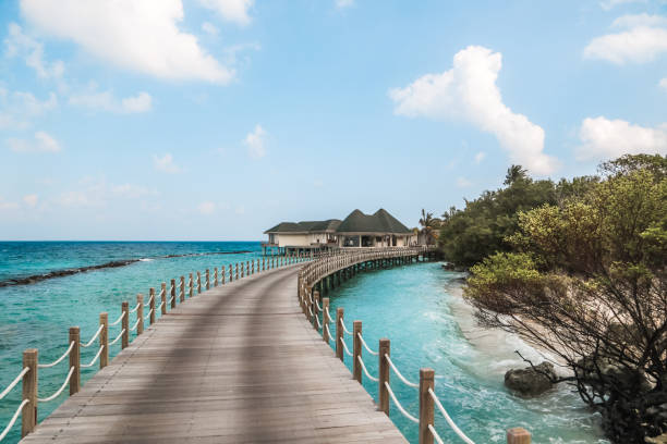 istock Jetty on Maldives Island Resort 1216950599