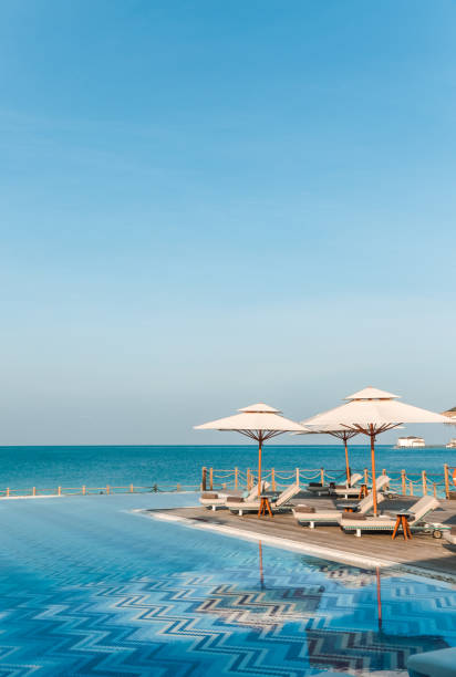 istock Tropical Swimming Pool in Maldives 1216950611