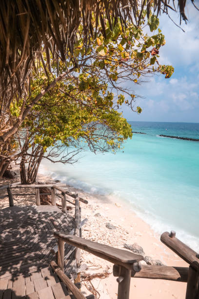 istock Tropical driftwood Restaurant by the beach 1216950759