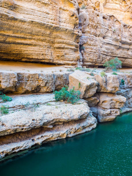 istock Natural Swimming Pool at Wadi Shab, Oman 1216950888