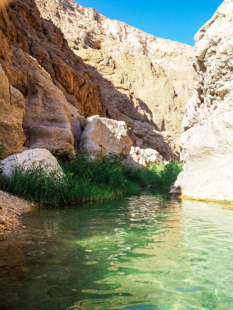 istock Natural Swimming Pool at Wadi Shab, Oman 1216950910