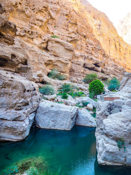 istock Natural Swimming Pool at Wadi Shab, Oman 1216950930