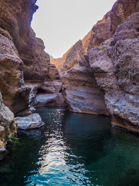 istock Natural swimming pool at Wadi Shab, Oman 1216950977