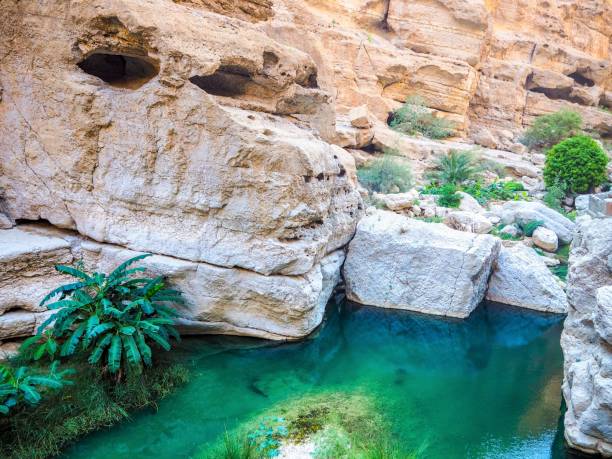 istock Natural ponds at Wadi Shab, Monkey head shape, Oman 1216950999