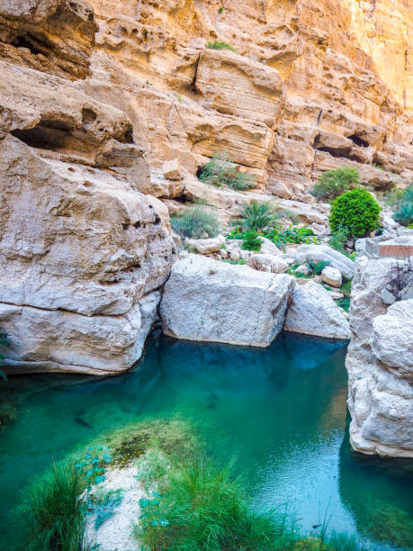 istock Natural Swimming Pool at Wadi Shab, Oman 1216951018