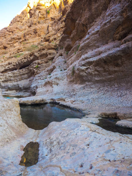 istock Natural swimming pool at Wadi Shab, Oman 1216951020