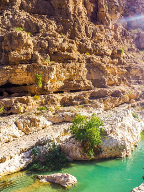istock Natural Swimming Pool at Wadi Shab, Oman 1216951196