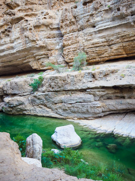 istock Natural ponds at Wadi Shab, Oman 1216952045