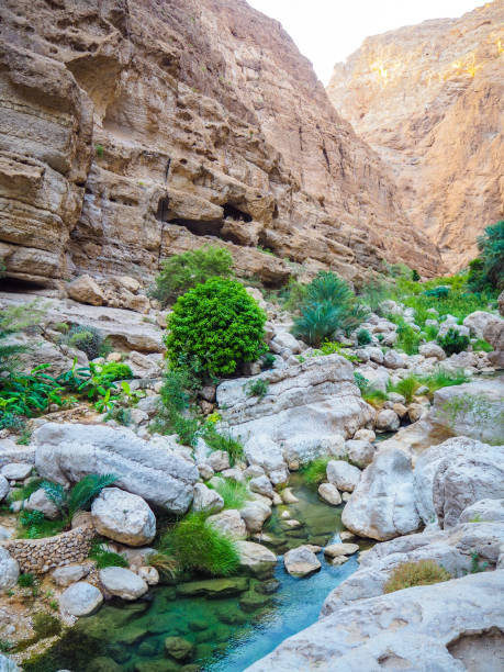 istock Hiking in Wadi Shab, Oman 1216952373