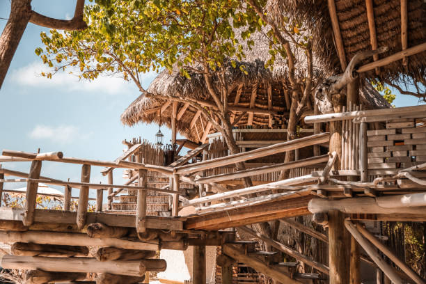 istock Rustic Driftwood Treehouse on tropical Maldives Island 1216952692