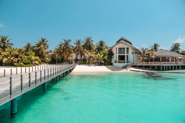 istock Wooden jetty on Maldives island 1216952710