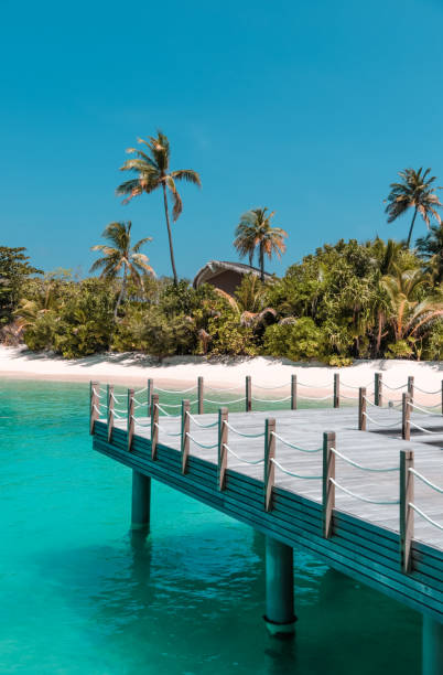 istock Wooden arrival jetty on Maldives island 1216952713
