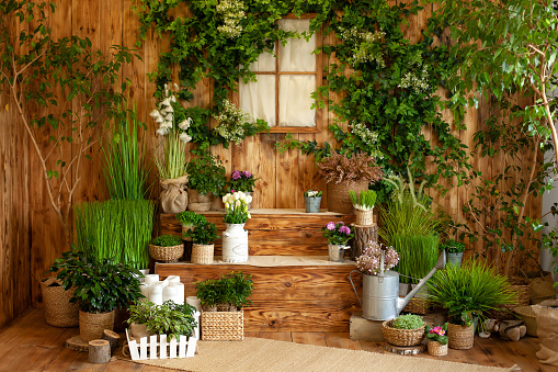 The interior of spring yard. Spring patio of a wooden house with green plants in pots. Gardening on steps of house. Veranda country house. Rustic terrace. Country veranda in spring decoration. Easter