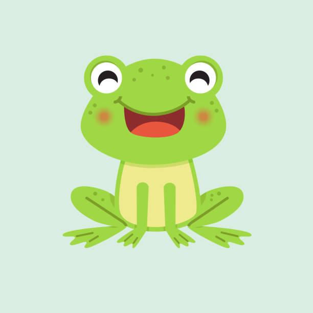 Happy smiling Frog Green frog happy and smiling frog illustrations stock illustrations