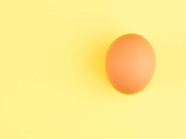 istock One brown chicken egg on a yellow background. Healthy eating concept 1216959625