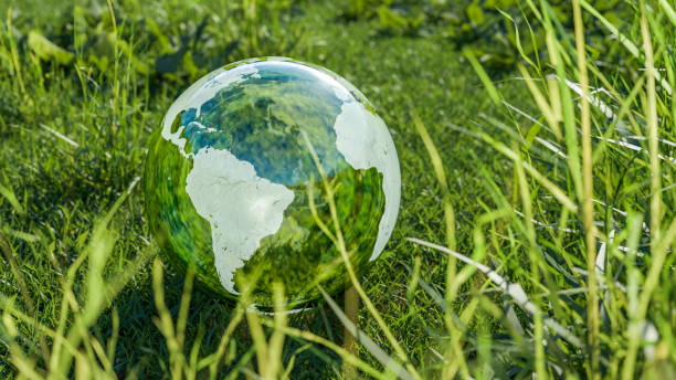 istock Transparent glass globe on green field. 3D rendering. 1216959675