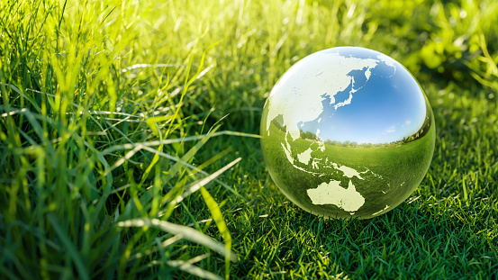 Planet Earth crystal ball on a green grass field Environmental protection, ecology and crystal ball of the world. Concept of ecology Protection. 3D rendering