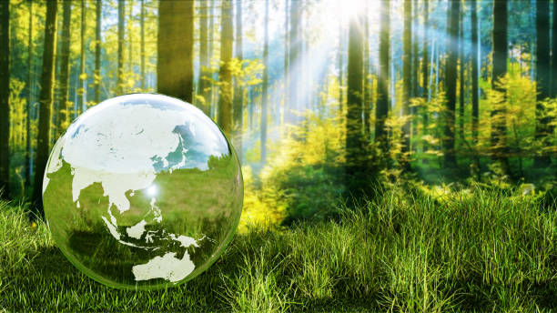 istock Planet Earth crystal ball on a green forest 3D rendering 1216959679