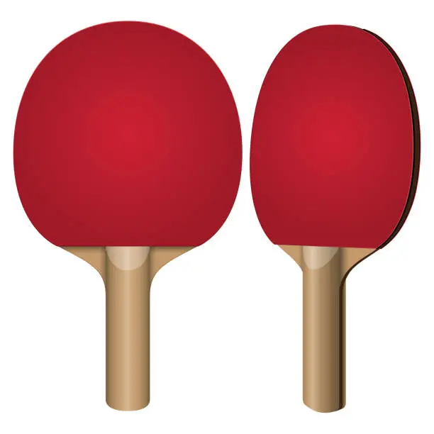 Vector illustration of Table Tennis Paddles