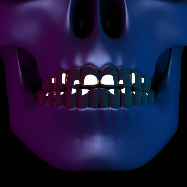 The mesh of the skull