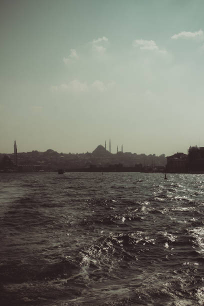Cityscape of Istanbul view behind of steamboat vapur. stock photo