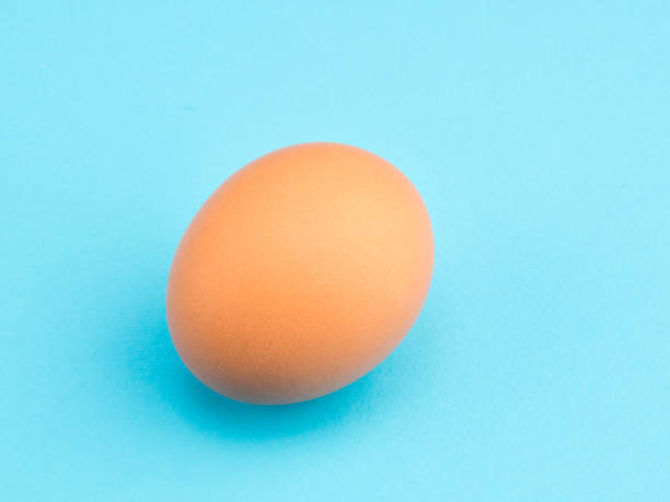 istock One brown chicken egg on a blue background. Healthy eating concept 1216962478