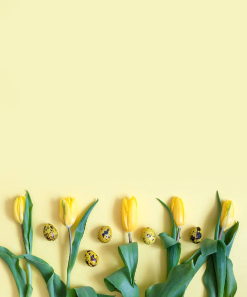 istock Easter quail eggs and tulips on a yellow background. Easter border or frame. Vertical orientation. 1216964272