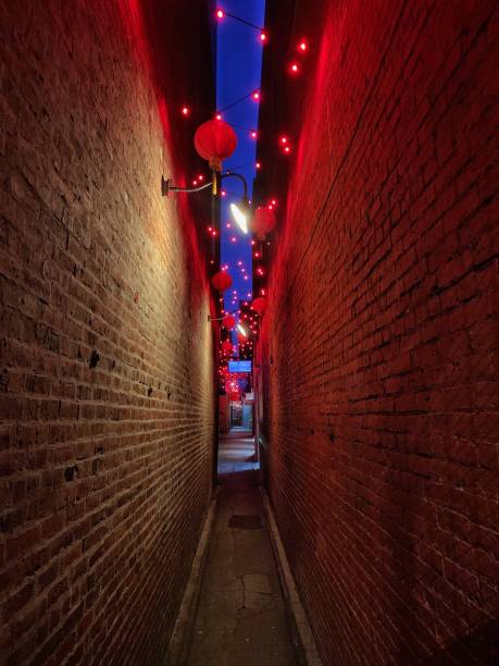 istock Fan Tan Alley at night 1216966262