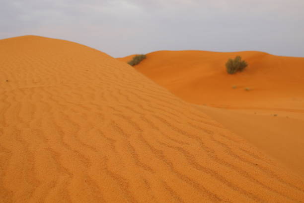 istock amazing landscape for the desert 1216971788
