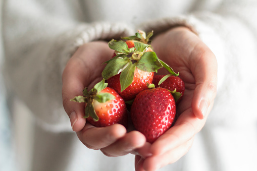 Woman hands holding sweet strawberries