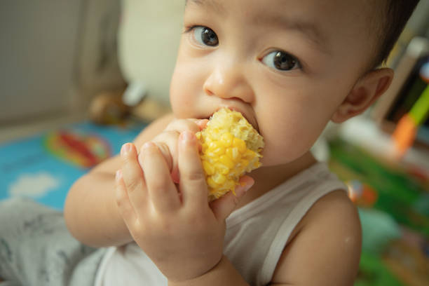 A little child is biting and enjoying to eat corn in his hand.