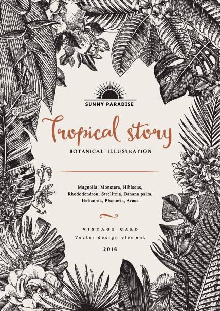 ilustraciones, imágenes clip art, dibujos animados e iconos de stock de tarjeta vectorial vintage. - tropical flower heliconia tropical climate flower