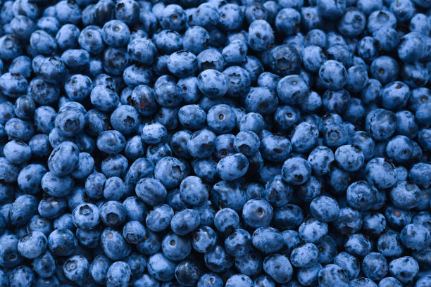 istock Fresh blueberry background. Texture blueberry berries close up. 1216974348
