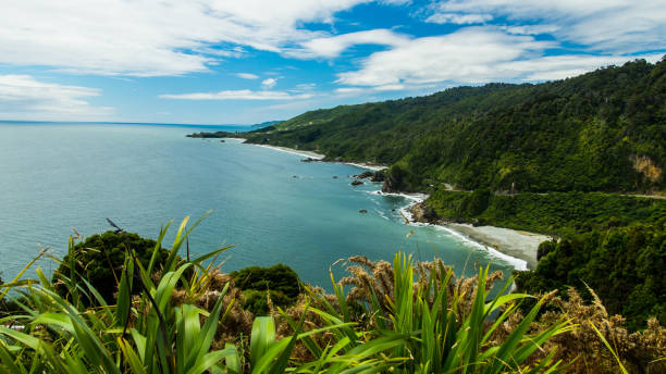 istock Sunny day in New Zealand 1216975601