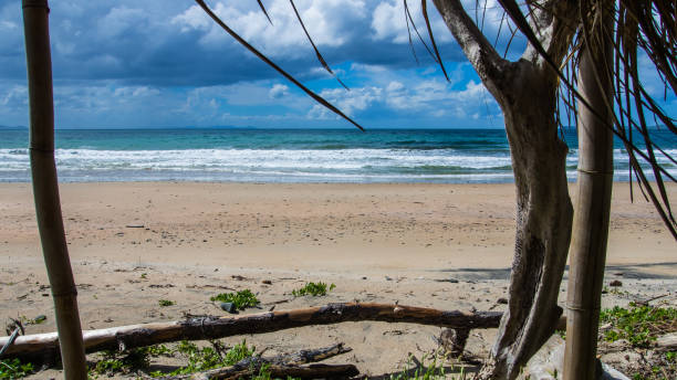 istock Beach in New Zealand 1216975618