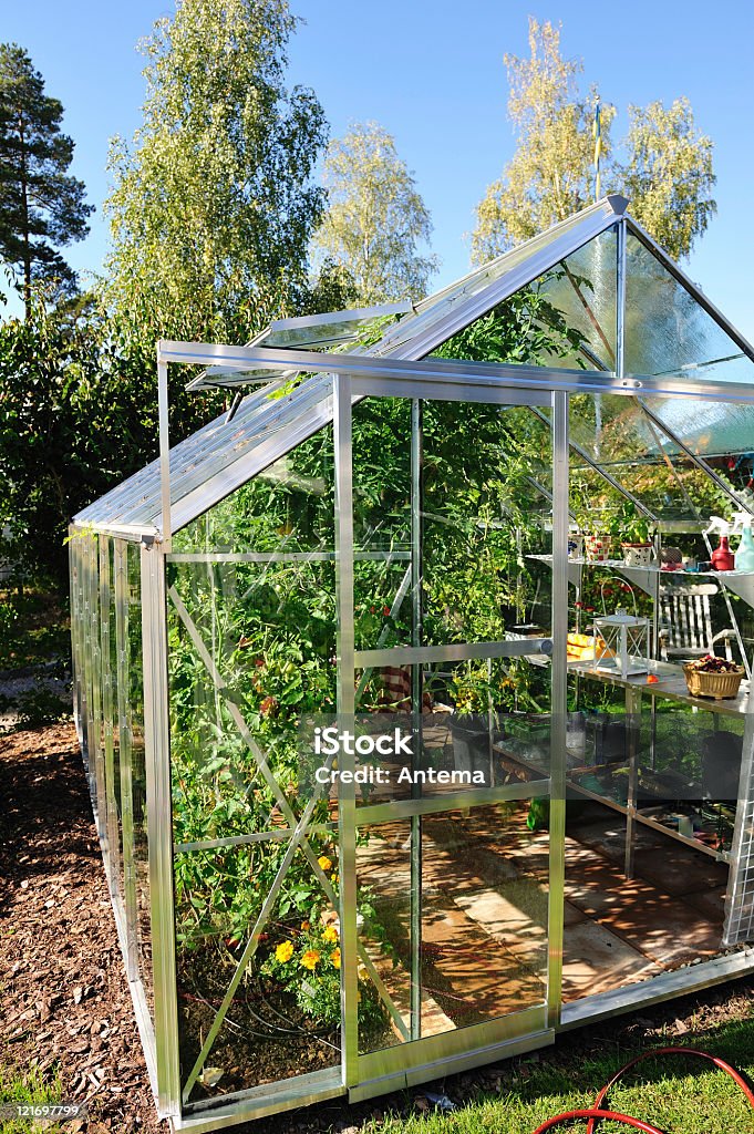 Jardín de efecto invernadero en septiembre - Foto de stock de Invernáculo libre de derechos