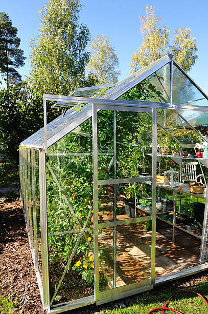 istock Garden greenhouse in September 121697799